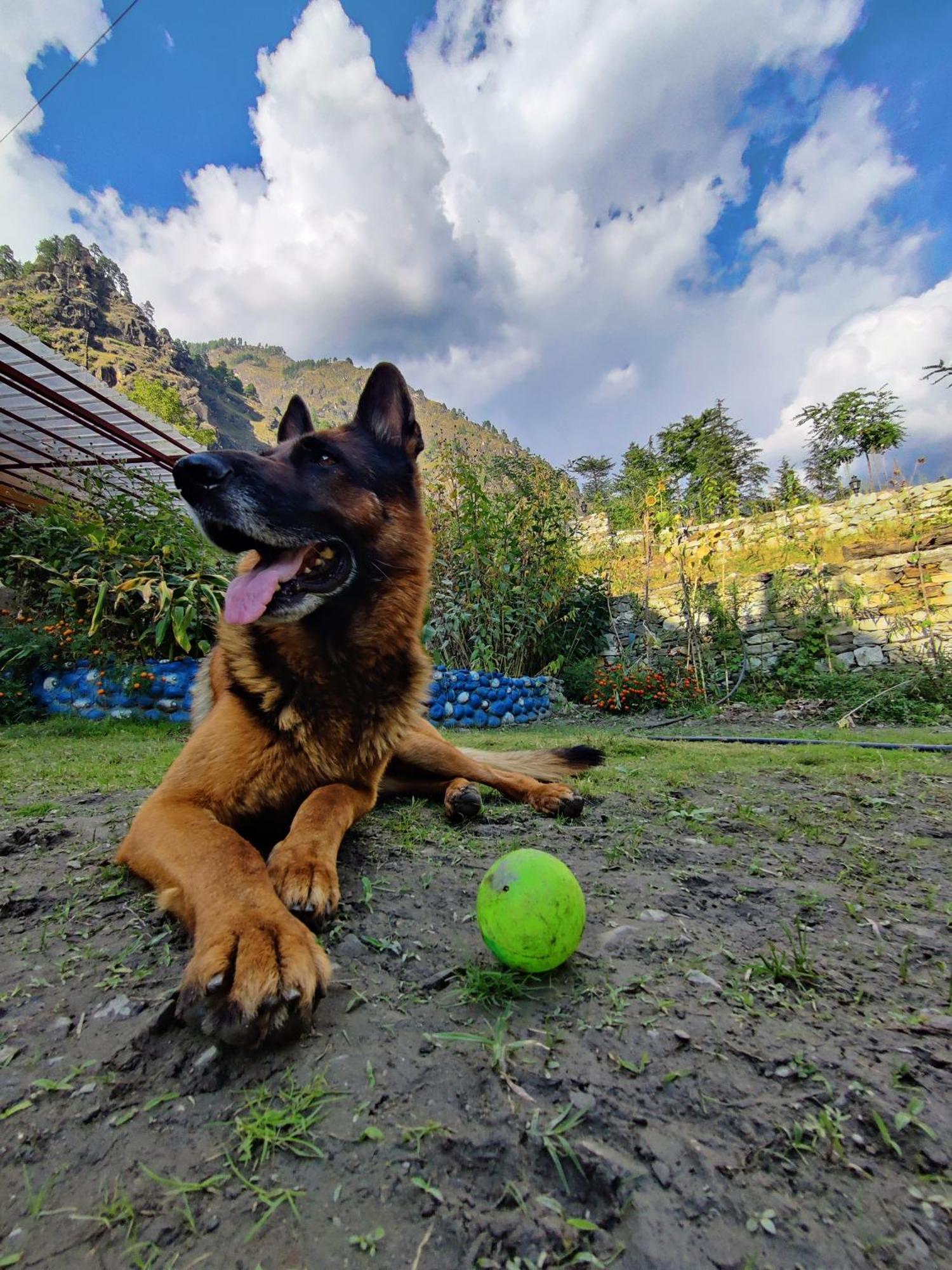 Flipsyde Retreat Otel Kasol Dış mekan fotoğraf