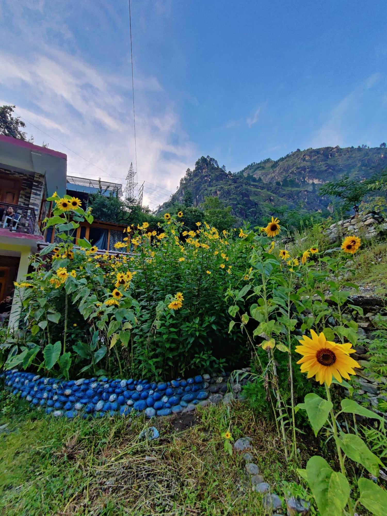 Flipsyde Retreat Otel Kasol Dış mekan fotoğraf