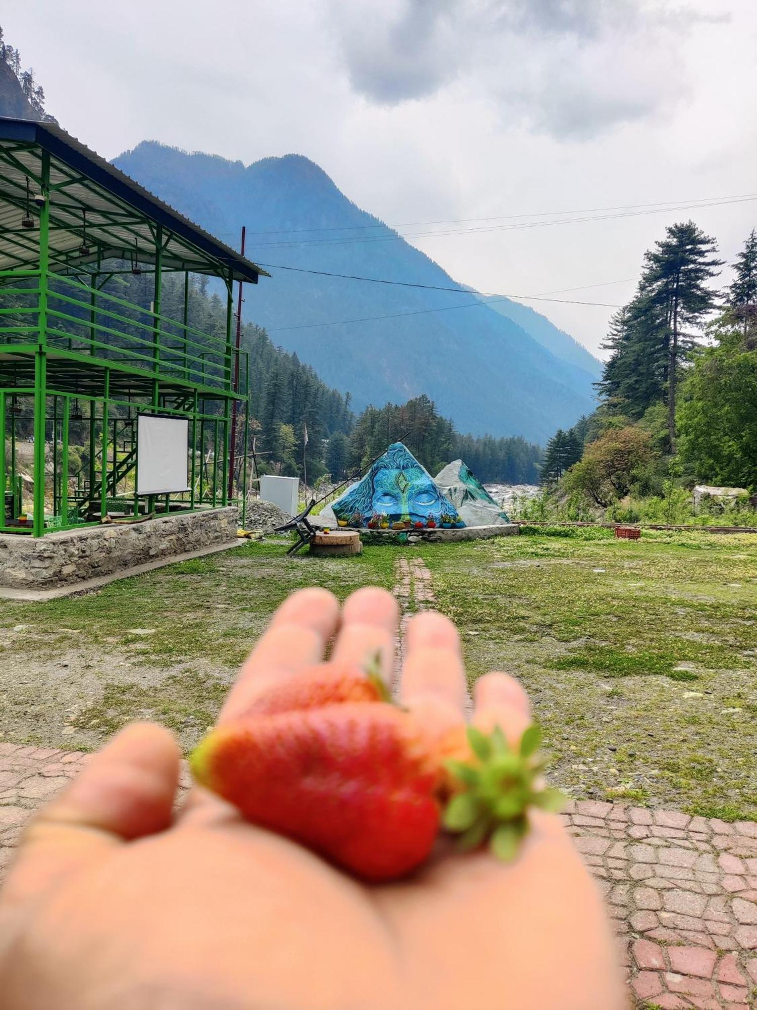 Flipsyde Retreat Otel Kasol Dış mekan fotoğraf