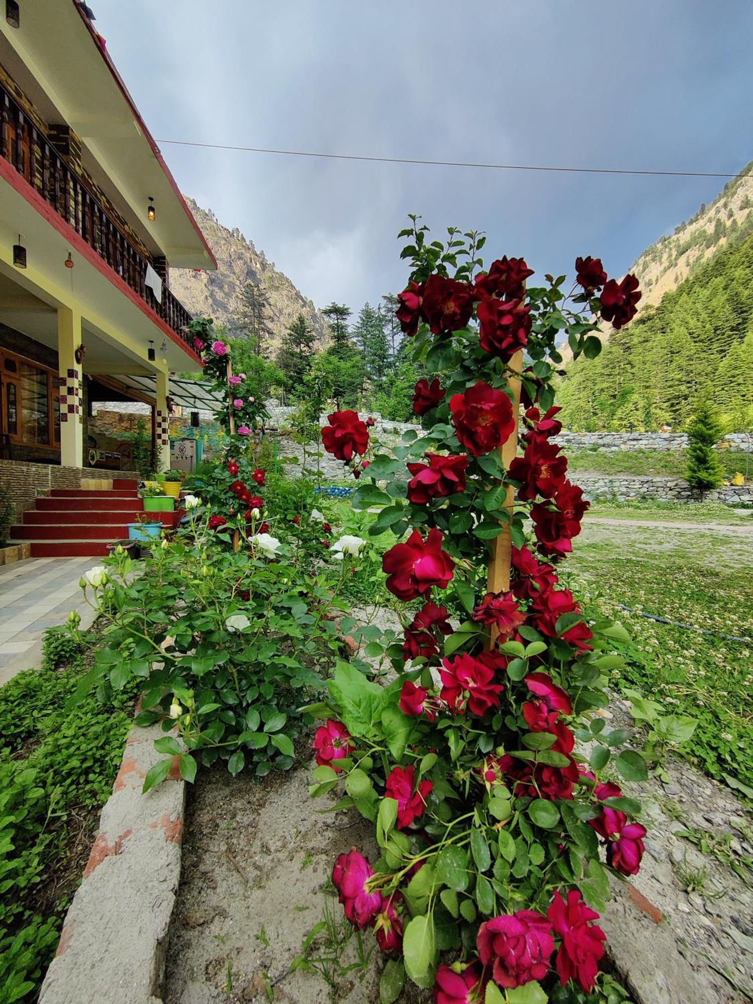 Flipsyde Retreat Otel Kasol Dış mekan fotoğraf