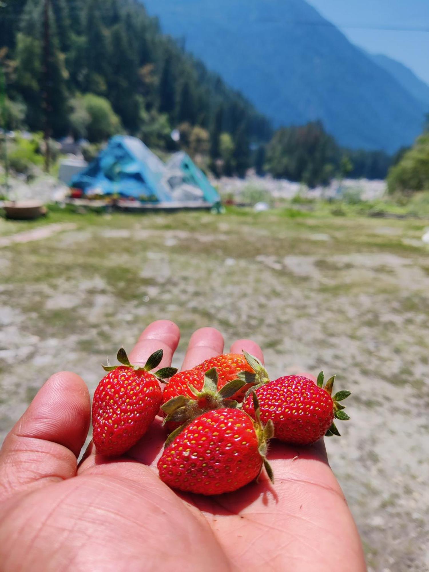 Flipsyde Retreat Otel Kasol Dış mekan fotoğraf